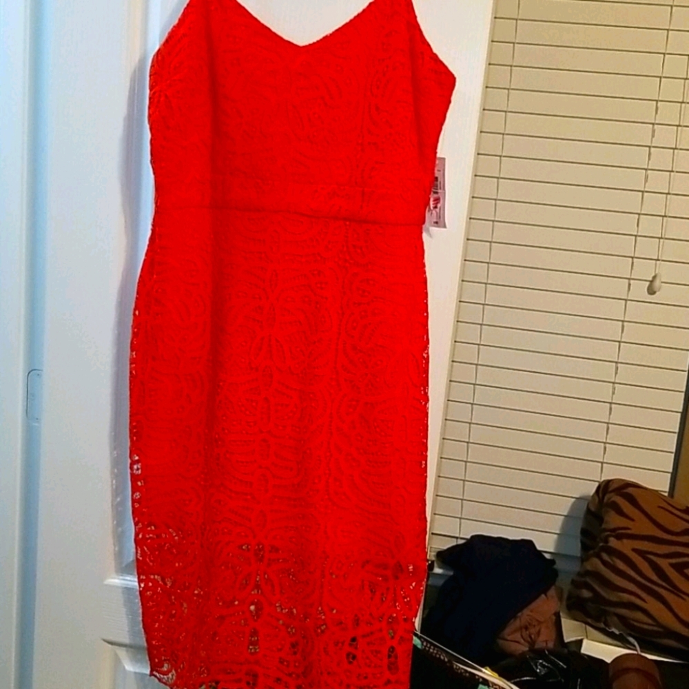 Bisou Bisou Dress